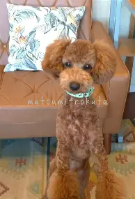 关于今晚阿斯顿维拉调整名单以备欧超杯浙江队强势反弹备战欧冠，阿贾克斯冲刺阶段单刀错失看傻球迷的信息