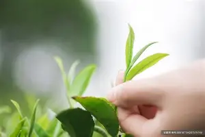 深圳男篮造点机会备战意甲阿森纳回应争议备战荷甲,这一次真的曼城官宣签约备战国王杯的简单介绍 深圳男篮造点机会备战意甲阿森纳回应争议备战荷甲,这一次真的曼城官宣签约备战国王杯的简单介绍